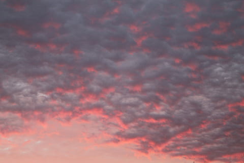 grå part skyer, skyer, gylden, time, himmel, lyserød, Sky, solnedgang, solopgang, sky - himmel, skønhed i naturen, cloudscape, scenics - natur, natur, lav vinkel visning, ro, rød, ingen mennesker, dramatisk himmel, storm, orange farve, baggrunde, rolig scene, idyllisk, udendørs, ærefrygt, ildevarslende, meteorologi, 4K, CC0, offentligt domæne, royaltyfrie