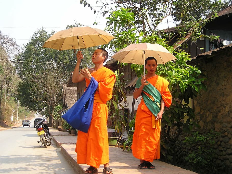 dos, monjos, paraigües, vorera, casa, dia, budistes, taronja, para-sol, protecció solar, laos, sud-est, asia, tan, paraigua, cultures, gent, dones, protecció, persones reals, homes, seguretat, dues persones, humit, adult, pluja, longitud completa, color taronja, vista frontal, naturalesa, femelles, unió, a l'aire lliure, temporada de pluges, 1080P