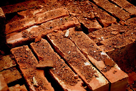 raudonos plytos, plytų, plytos, raudona, statybos, sukurti, pastatas, verslą, medžiagos, molis, objektų, architektūra, saldus maistas, maisto, Maistas ir gėrimai, saldus, desertas, pasiruošęs valgyti, šokoladas, malonumas, pagunda, Iš arti, šviežumas, patalpose, pyragas, ruda, natiurmortas, kepti, nesveika mityba, nėra žmonių, tortas, visą kadrą, Šokoladinis pyragas, užkandis, 1080P, CC0, Viešasis domenas, nemokamai