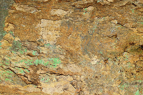 legna, struttura, albero, sfondi, astratto, ruvido, strutturato, fotogramma intero, nessuno, avvicinamento, giorno, caratteristica della parete, intemperie, struttura costruita, all'aperto, architettura, vecchio, storia, modello, natura, roccia - oggetto, solido, cattiva condizione, Marrone, effetto strutturato, rovinato, 2K, CC0, dominio pubblico, privo di copyright