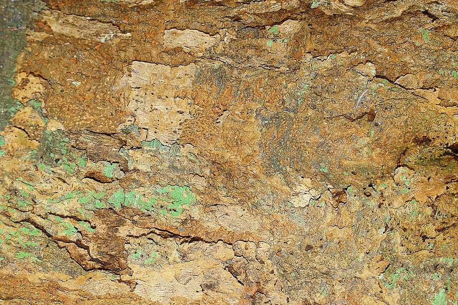 legna, struttura, albero, sfondi, astratto, ruvido, strutturato, fotogramma intero, nessuno, avvicinamento, giorno, caratteristica della parete, intemperie, struttura costruita, all'aperto, architettura, vecchio, storia, modello, natura, roccia - oggetto, solido, cattiva condizione, Marrone, effetto strutturato, rovinato, 2K