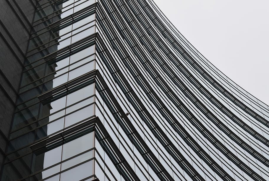 cuc, vista d'ulls, alt, edifici de vidre, baix, fotografia d'angle, construcció de finestres, finestra, arquitectura, edifici, façana, corba, reflexió, blanc i negre, monocroma, angle, finestra de vidre, vidre, infraestructura, línia, urbà, estructura construïda, exterior de l'edifici, vista d’angle baix, ciutat, cap gent, modern, dia, patró, exterior d’edifici d’oficines, cel, oficina, alta - alta, a l'aire lliure, naturalesa, industria de la construcció, marc complet, vidre - material, gratacels, 5K