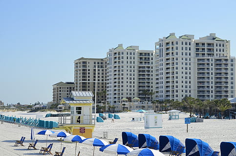 clearwater, strand, florida, rent vand, strand, florida, blå, sand, udendørs, dag, himmel, bygning udvendig, bygget struktur, arkitektur, jord, natur, bygning, skyfri himmel, menneskemængde, by, rigtige mennesker, paraply, vand, tilfældige mennesker, sollys, stor gruppe mennesker, kontorbygning udvendig, skyskraber, 4K, CC0, offentligt domæne, royaltyfrie