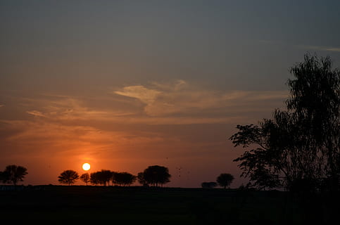 posta de sol, tarda, paisatge, sol, fons de posta de sol, cel del capvespre, a l'aire lliure, escènic, vista, cel, naturalesa, silueta, arbre, vespre, planta, bellesa a la natura, escenics - natura, escena tranquil·la, tranquil·litat, color taronja, núvol - cel, cap gent, idíl·lic, medi ambient, terra, camp, 4K, CC0, domini públic, lliure de regalies