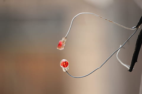 netværk, cordon, internet, adgang, Advarsel, kabel, tæt på, fokus på forgrunden, teknologi, indendørs, forbindelse, ingen mennesker, musik, hovedtelefoner, hører efter, rød, selektiv fokusering, enkelt objekt, meddelelse, elektricitet, kopiere plads, dag, vand, enkelhed, 5K, CC0, offentligt domæne, royaltyfrie