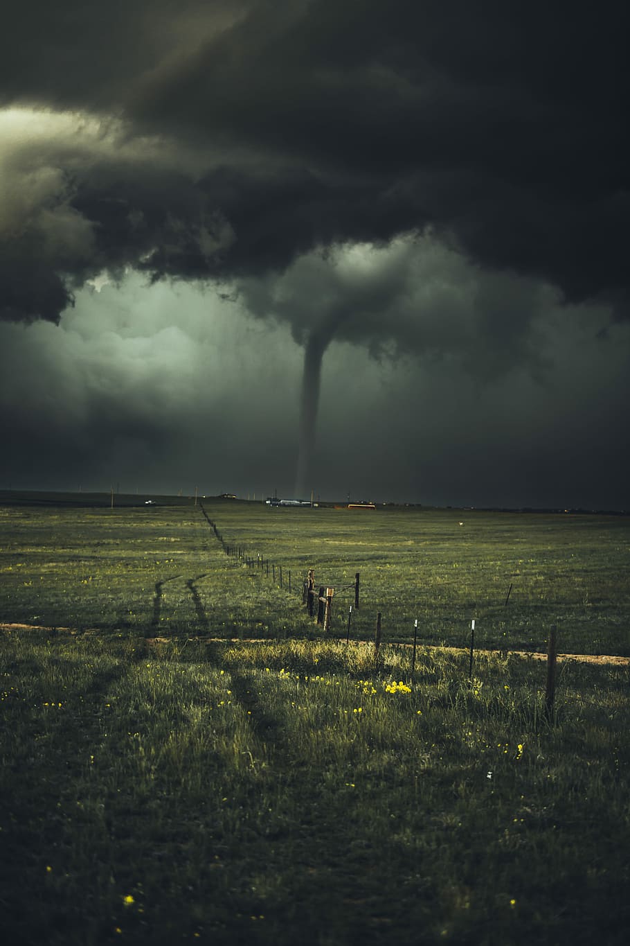 tempesta, fulles, plantes, verd, camp de gespa, tornado, ennuvolat, cel, camp, núvol, fosc, pista, herba, perillós, dangerou, aventura, xafar, wyoming, núvol - cel, medi ambient, bellesa a la natura, terra, núvol de tempesta, paisatge, escenics - natura, naturalesa, planta, escena no urbana, escena rural, tranquil·litat, barrera, poder a la natura, a l'aire lliure, cap gent, pluja, ominós, 5K