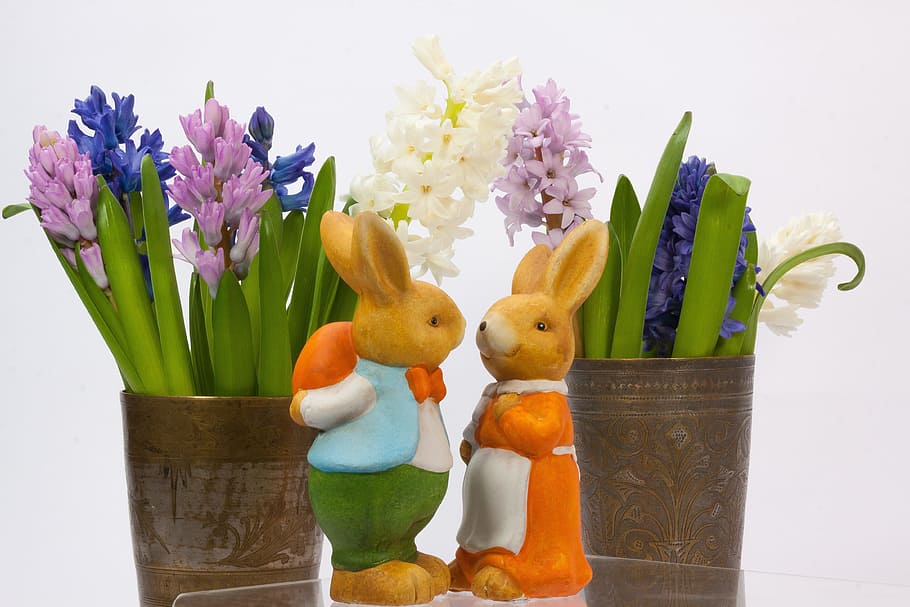dos, marró, figuretes de conill, al costat, plantes, conill de Pasqua, Pasqua, llebre, parella de conill, pocs d’osterhasen, figura, parell, costums, personalitzat, ou de Pasqua, colorit, pintat, jacint de jacint, hyacinthus orientalis, asparagàcies, planta d'espàrrecs, verd, rosa, blanc, blau, taronja, home, dona, amants, orella, orella de conill, amor, figura de Pasqua, parella, bonic, gerro de llautó, tassa de llautó, flor, planta amb flors, planta, frescor, a l'interior, cap gent, menjar, naturalesa, decoració, tir de l'estudi, ou, gerro, natura morta, primer pla, variació, multicolor, bellesa a la natura, festa, cap de flor, porpra, test de flor, 4K