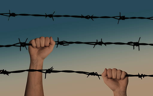 person, climbing, barbed, wire, hands, barbed wire, caught, war, a prisoner of war, liberation, cry, shimmy, finger, detention, human, stock, outbreak, fence, safety, barrier, boundary, protection, metal, human body part, security, punishment, human hand, hand, prison, prisoner, sharp, trapped, law, communication, holding, human arm, human limb, hopelessness, 4K, CC0, public domain, royalty free