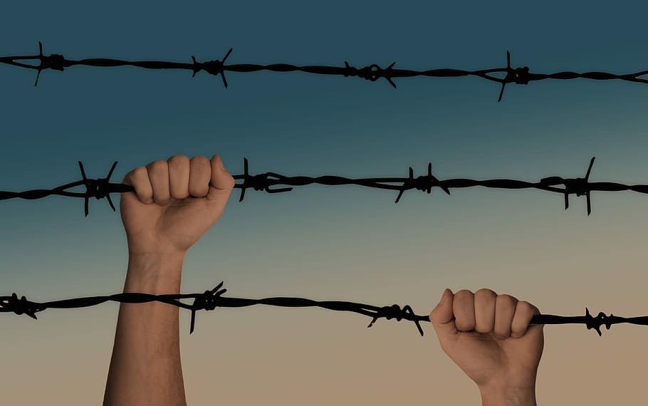 persona, alpinismo, mordaz, cable, manos, alambre de espino, atrapado, guerra, un prisionero de guerra, liberación, llorar, camisa, dedo, detención, humano, valores, brote, cerca, la seguridad, barrera, límite, proteccion, metal, parte del cuerpo humano, seguridad, castigo, mano humana, mano, prisión, prisionero, agudo, ley, comunicación, participación, brazo humano, extremidad humana, desesperación, 4K
