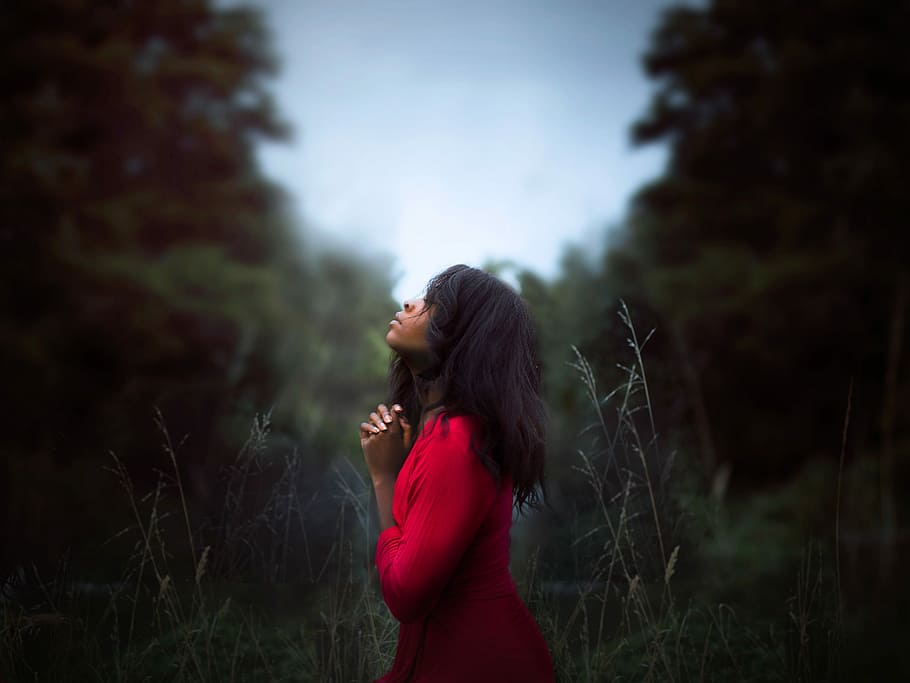 schwarz, behaarte Frau, rot, Kleid Fokus Fotografie, schwarzhaarig, frau in rot, rotes Kleid, Fokus, Fotografie, Frau, Natur, draußen, Frauen, Menschen, eine Person, Schönheit, kaukasischer Abstammung, Erwachsene, wunderschönen, junger Erwachsener, Schönheit in der Natur, Kleid, Lebensstile, Mode, Stehen, nur eine frau, Nacht-, nur für Erwachsene, nur Frauen, Seitenansicht, echte Menschen, Pflanze, lange Haare, Freizeitbeschäftigung, Haar, junge Frau, Fokus auf den Vordergrund, Land, Frisur, Legere Kleidung, suchen, Betrachtung, schöne Frau, Profilansicht, 8K