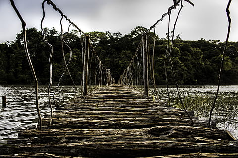 puente, camino, recordar, paisaje, rio, naturaleza, árbol, material de madera, agua, al aire libre, bosque, nadie, río, agricultura, crecimiento, día, planta, tierra, tranquilidad, cielo, escena tranquila, belleza en la naturaleza, escena no urbana, el camino a seguir, paisajes - naturaleza, dirección, ambiente, 5K, CC0, dominio público, libre de derechos