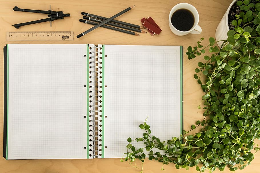 blanc, verd, llibreta gràfica, notes, quadern, sortir, llibre, paper, aprendre, estudiar, obert, eina d’escriptura, escriptori, oficina, assumpte, bolígraf, bindung, taula, pàgines buides, buit, accessoris, regle, a l'interior, cap gent, tir de l'estudi, dia, primer pla, directament a sobre, publicació, quadern d’espiral, bloc de notes, menjar i beguda, educació, còpia espai, en blanc, material de fusta, pàgina, vista d’angle alt, llapis, herba, 5K