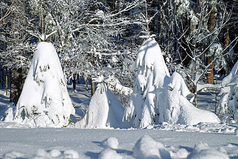 foto, formazione rocciosa di neve, invernale, foresta, luce, sole, la neve, abeti, alberi, nevoso, romantico, periodo dell'anno, inverno, freddo, magia invernale, foresta invernale, atmosferico, sogno invernale, umore invernale, umore, paesaggio, natura, foresta Nera, temperatura fredda, Colore bianco, pianta, albero, congelato, giorno, terra, bellezza nella natura, nessuno, scena tranquilla, la tranquillità, scenics - natura, copertura, campo, ambiente, luce del sole, all'aperto, tempo estremo, montagna innevata, nevicando, 4K, CC0, dominio pubblico, privo di copyright