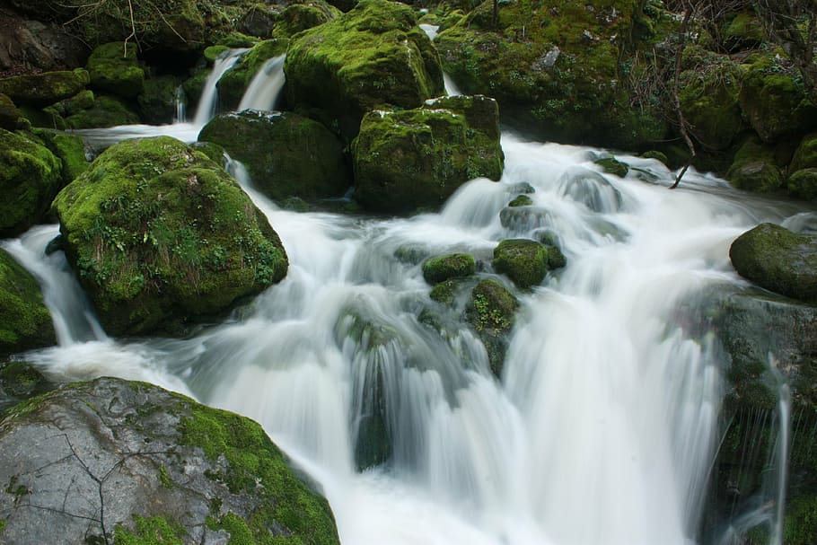 cascades, cascada, aigua de llet, molsa, exposició llarga, pedres, humit, aigua, moviment, cap gent, riu, escenics, clima tropical, naturalesa, bellesa a la natura, rock - object, rock, escenics - natura, aigua que flueix, bosc, sòlid, planta, arbre, moviment borrós, terra, medi ambient, a l'aire lliure, que flueix, rierol: aigua que flueix, selva tropical, arbre tropical, 4K