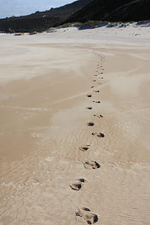 fodspor, strand, spor, gå, mærker, sand, fodtrin, sti, natur, hav, kystlinje, sommer, udendørs, rejse steder, strande, ingen mennesker, scenics, ferier, landskab, vand, pote aftryk, dag, jord, ro, rolig scene, skønhed i naturen, scenics - natur, Print, høj vinkel visning, spor - aftryk, fravær, tørt klima, 1080P, CC0, offentligt domæne, royaltyfrie