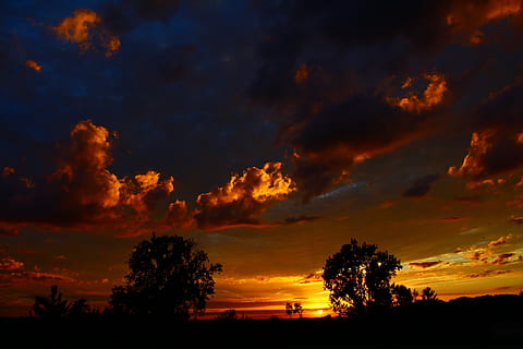 posta de sol, núvols, cel, cel de la nit, abendstimmung, sol, tarda, taronja, Sol ponent, humor, resplendor, vespre, arbre, llum de fons, llum de la nit, horitzó, núvol - cel, escenics - natura, bellesa a la natura, silueta, tranquil·litat, escena tranquil·la, cel dramàtic, color taronja, medi ambient, cap gent, planta, naturalesa, paisatge, cloudscape, fosc, idíl·lic, a l'aire lliure, 5K, CC0, domini públic, lliure de regalies