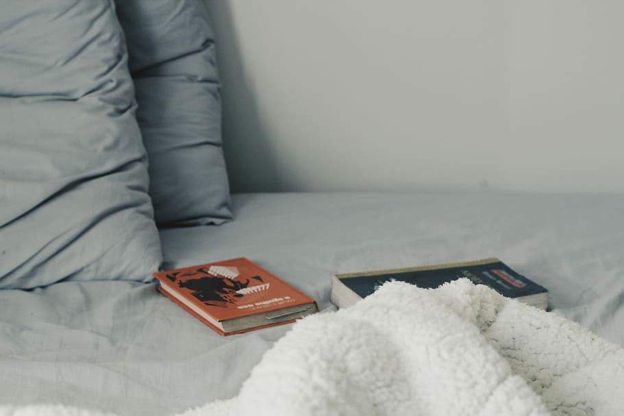 dos, llibres nous, llit, llibres de títols assortits, coixí, fulls, llibre, manta, blanc, ombra, interior, casa, acollidor, dormitori, habitació domèstica, mobles, a l'interior, interior de casa, publicació, adult, còmode, gent, estils de vida, tecnologia, sofà, relaxació, la vida domèstica, farcit, petit grup d'objectes, 5K