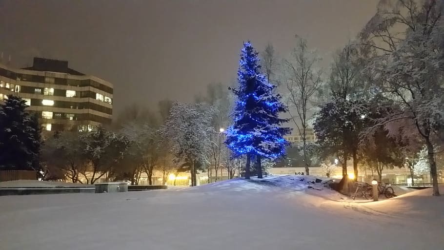 ancoratge, arbre, Nadal, plaça de la ciutat, individual, neu, temperatura de fred, hivern, planta, il·luminat, exterior de l'edifici, arquitectura, naturalesa, estructura construïda, nit, celebració, congelat, ciutat, cap gent, cobertura, festa, edifici, a l'aire lliure, clima extrem, 1080P