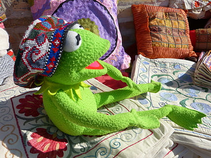 Kermit, frø, kasket, hat, tage på, bære, hovedbeklædning, tøj, kulturer, håndværk, tekstil, multi farvet, ingen mennesker, tæt på, indendørs, uld, dag, repræsentation, Kunst og håndværk, kreativitet, stilleben, legetøj, høj vinkel visning, tøjdyr, valg, grøn farve, variation, ferie, til salg, menneskelig repræsentation, blødhed, blomstermønster, 4K, CC0, offentligt domæne, royaltyfrie