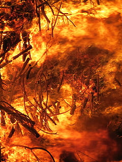 burning, wood, digital, wallpaper, fire, conflagration, easter fire, destruction, nature, tree, outdoors, no people, forest, branch, autumn, scenics, beauty in nature, day, plant, orange color, sunset, tranquility, land, flame, sky, cloud - sky, bare tree, sunlight, plant part, 4K, CC0, public domain, royalty free