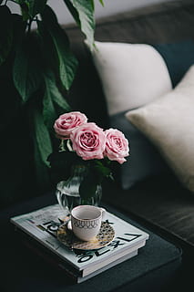 dejlig, roseses, Bestil, kaffe, Rose, roser, indre, hvilende, slap af, væsentlige, læsning, tid, rosa roser, bøger, kop kaffe, indendørs, bord, kop, dekoration, indretning, hjemlige værelse, vase, blomst, elegance, rosenblomst, ingen mennesker, buket, blomstrende plante, plante, friskhed, skønhed i naturen, skrøbelighed, natur, blad, lyserød farve, plante del, sårbarhed, stilleben, blomsterhoved, blomster arrangement, kaffebord, 4K