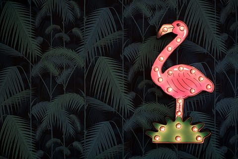 Flamingo-Abbildung, angezündet, Flamingo Wanddekoration, Rosa, Schwan, Dekor, Dekoration, Illustration, aufwendig, Kulturen, rot, Feier, Nacht-, beleuchtet, keine Leute, drinnen, Neon-, Darstellung, Tierdarstellung, Lichtanlage, Kunst und Handwerk, Natur, Tier, glühend, Kunst, Kreativität, draußen, Elektrizität, Baum, Nahansicht, die Architektur, Tierthemen, gebaute Struktur, Kommunikation, 5K, CC0, gemeinfrei, lizenzfrei