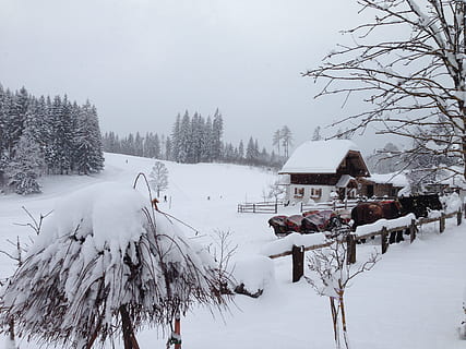 Rakousko, styria, ramsau, dachstein, zimní, sněžení, hory, krajina, bílý, sníh, strom, Příroda, teplota za studena, venku, les, scén, led, mimoměstské scény, sezóna, mráz, zamrzlý, studená teplota, stavba, sněží, architektura, budova, exteriér budovy, přistát, scenics - příroda, Dům, životní prostředí, rostlina, bílá barva, nebe, holý strom, klidné scény, 2K, CC0, veřejná doména, bez autorských práv
