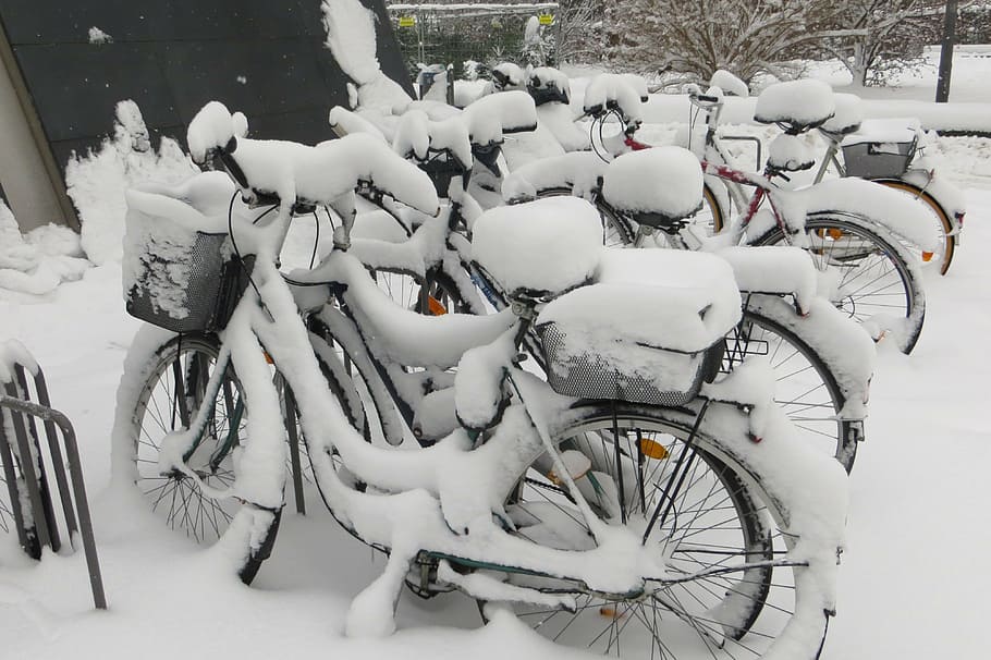 hivern, munich, bicicletes, neu, temperatura de fred, transport, manera de transport, vehicle terrestre, bicicleta, Color blanc, dia, aparcament, estacionari, cap gent, ciutat, cobertura, naturalesa, congelat, carrer, a l'aire lliure, camp, nevar, 4K