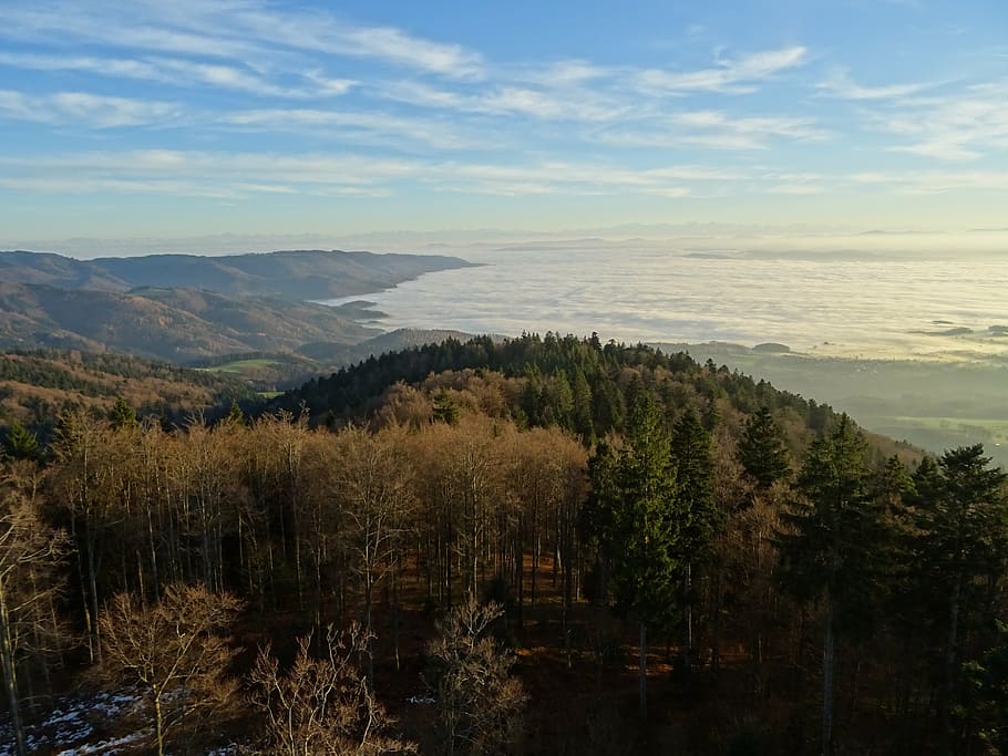 muntanyes, núvols, cel, alpí, blau, paisatge, bosc, bosc mixt, bosc Negre, picea, naturalesa, suïssa, cim, perspectiva, panorama de muntanya, vista aèria, arbre, escenics - natura, bellesa a la natura, escena tranquil·la, tranquil·litat, planta, muntanya, medi ambient, núvol - cel, cap gent, escena no urbana, dia, creixement, idíl·lic, a l'aire lliure, aigua, terra, 5K