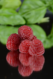 primer pla, foto, vermell, maduixes, gerds, fruita, mirall, imatge del mirall, contrast, duplicació, fresc, menjar, frescor, fruites de baies, madur, naturalesa, orgànic, alimentació saludable, full, menjar i beguda, planta, cap gent, part de la planta, creixement, bellesa a la natura, centrar-se en primer pla, dia, fragilitat, vulnerabilitat, cap de flor, 5K, CC0, domini públic, lliure de regalies
