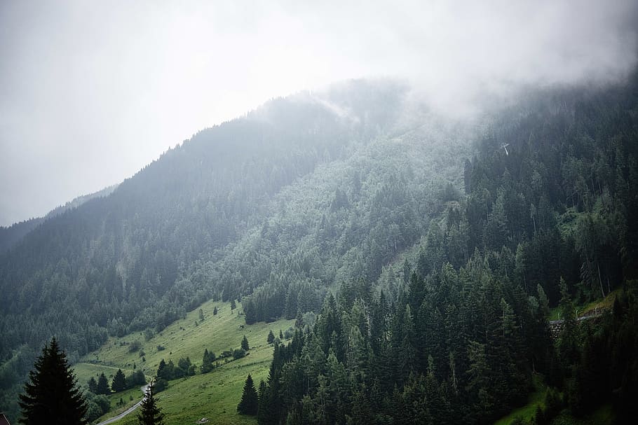 montagna, lato, valle, alberi, verde, natura, rurale, scenario, paesaggio, panoramico, ambiente, vista, albero, scenics - natura, pianta, nebbia, terra, bellezza nella natura, foresta, albero di conifere, Pino, scena tranquilla, la tranquillità, Pinaceae, cielo, colore verde, bosco, nessuno, bosco di pini, albero sempreverde, catena montuosa, all'aperto, abete, 5K