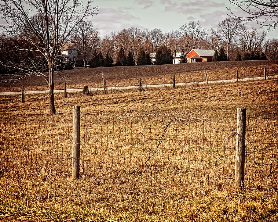 Scheune, rustikal, Scheunen, Ohio, digitale Kunst, ländlich, szenisch, Land, Landschaft, Schuppen, wirft, Bauernhof, Bauernhöfe, Landwirtschaft, landwirtschaftlich, Bauernhaus, champaign, Bezirk, Americana, Foto, fotografieren, Struktur, Strukturen, sturgell, William Sturgell, bill sturgell, historisch, Wohnkultur, Gebäude, Wolken, Himmel, Baum, Bäume, wolkig, Unkraut, Champaign County, Urbana, Feld, Pflanze, kahler Baum, Tag, Natur, ländliche Szene, Barriere, Grenze, Zaun, Umgebung, keine Leute, gebaute Struktur, draußen, die Architektur, 4K