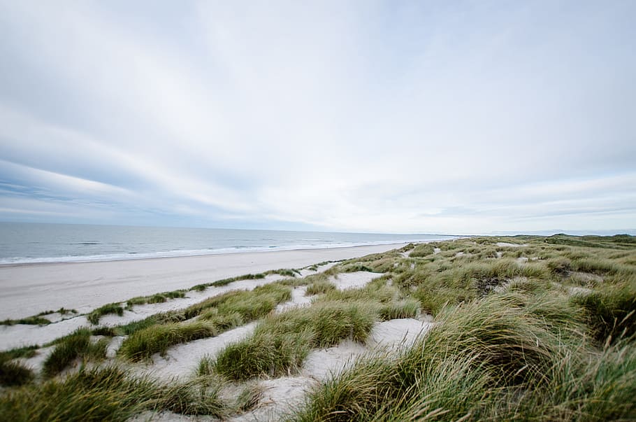 grøn, reed, hvid, sandstrand strand, strand, skyer, græs, ø, landskab, natur, ocean, udendørs, sand, hav, marinemaleri, kysten, himmel, sommer, sol, solnedgang, rejse, vand, bølger, vind, blæsende, scenics - natur, skønhed i naturen, jord, ro, horisont over vand, horisont, marram græs, plante, sky - himmel, rolig scene, ingen mennesker, dag, 2K
