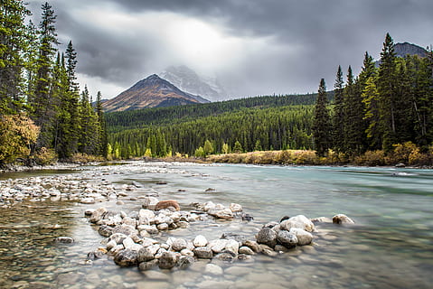 innsjø, ved siden av, skog, fjell, skyet, himmel, Canada, elv, banff, vann, nasjonalpark, natur, fjellene, skoger, hvile, Alberta, landskap, steiner, sky - himmel, fjellkjede, tre, ingen folk, utendørs, scenics, naturskjønnhet - natur, skjønnhet i naturen, miljø, stein, land, ro, rolig scene, fast, nåletre, furutre, furuskog, fjelltopp, 5K, CC0, offentlig domene, opphavsrett gratis