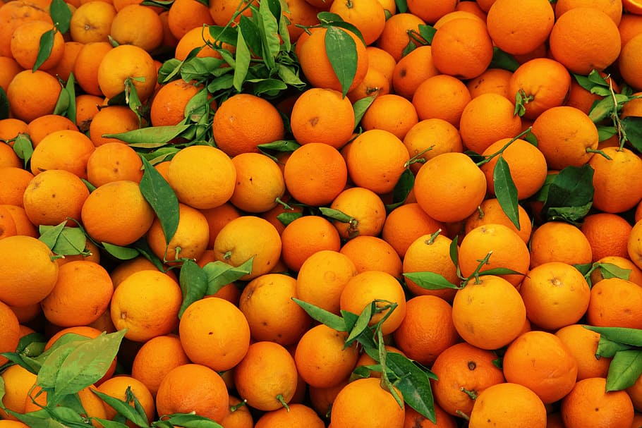 appelsinfrugter, orange, frugter, kulisse, baggrund, citrus, farve, mad, frisk, frugt, sund og rask, saftig, bunke, masser, rå, forfriskende, moden, vitamin, mange, mad og drikke, friskhed, orange farve, sund kost, velvære, overflod, marked, stor gruppe af objekter, til salg, citrus frugt, fuld ramme, markedsbod, baggrunde, ingen mennesker, detail, salg, appelsinfrugt, detailvisning, forbrugerisme, 4K