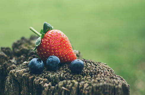 Erdbeere, drei, Blaubeeren, Nahansicht, Fotografie, selektiv, fokus fotografie, rot, oben, Holzstempel, tagsüber, Himbeere, Blaubeere, Obst, gesund, Feld, draussen, Natur, Gesundheit, Lebensmittel, Log, Post, Holz, Essen und Trinken, gesundes Essen, selektiver Fokus, Wohlbefinden, Beerenfrucht, Tag, Frische, keine Leute, Land, Fokus auf den Vordergrund, Wachstum, Pflanze, draußen, reif, 2K, CC0, gemeinfrei, lizenzfrei