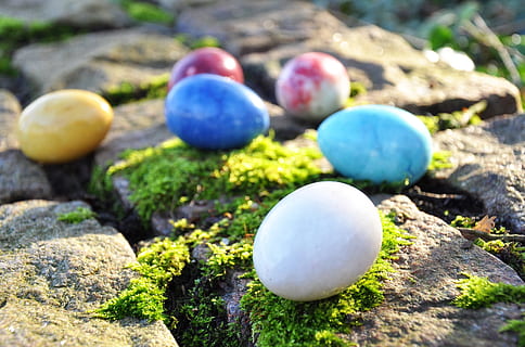 ou, ou de marbre, ous de colors, ou de Pasqua, Pasqua, símbol, festa, tradicional, catòlic, rock, pedra, ous a la roca, sòlid, menjar, cap gent, naturalesa, molsa, primer pla, menjar i beguda, rock - object, dia, planta, grup d'objectes, a l'aire lliure, enfocament selectiu, centrar-se en primer pla, blau, còdols, 4K, CC0, domini públic, lliure de regalies