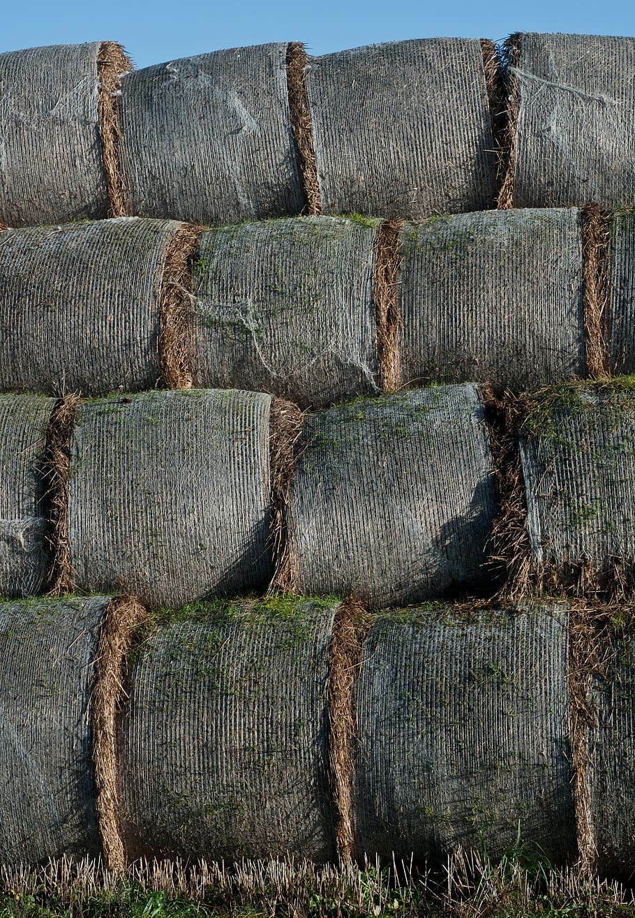 paller, palla, agricultura, fenc, collita, cap gent, dia, material de fusta, patró, pila, naturalesa, terra, bala, marc complet, fons, a l'aire lliure, planta, camp, arranjament, paisatge, gran grup d'objectes, granja, tranquil·litat, 4K