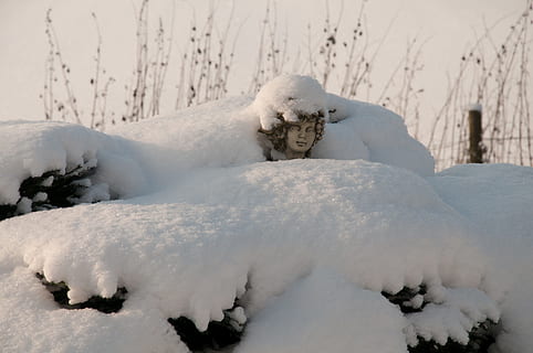 Winter, Schnee, winterlich, kalt, eiskristalle, Weiß, Licht, gefroren, Schneefall, Buchse, Winterbüsche, Schneekristalle, Schneehügel, Stimmung, Schneelandschaft, kalte Temperatur, Natur, keine Leute, weiße Farbe, Tag, Eis, Wasser, draußen, Umgebung, Nahansicht, Tier, Tierthemen, Polarklima, Pflanze, Tierwelt, Emotion, begraben, schneit, 4K, CC0, gemeinfrei, lizenzfrei
