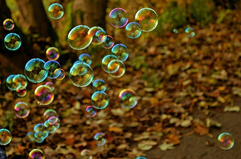 multicolored floating bubbles, bubble, fun, colors, game, flight, light, background, round, ball, circle, people, child, happy, children, kid, soap Sud, nature, backgrounds, abstract, outdoors, mid-air, multi colored, fragility, vulnerability, transparent, no people, close-up, day, focus on foreground, shape, beauty in nature, motion, bubble wand, flying, water, lightweight, 1080P