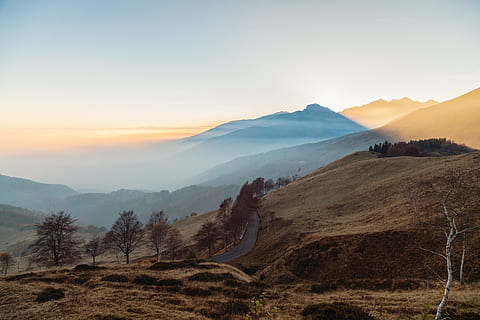 bomen, berg-, dag, grijs, weg, kaal, haarlok, top, heuvel, bruin, bergen, tijd, natuur, landschap, zonsondergang, Vakantiebestemmingen, buitenshuis, hemel, zonsopgang - ochtendgloren, bergketen, bergtop, schoonheid in de natuur, mist, ochtend-, dageraad, boom, landelijke scène, zomer, milieu, scenics - natuur, kalmte, rustige scène, niet-stedelijke scène, land-, afgelegen, fabriek, geen mensen, idyllisch, 5K, CC0, publiek domein, royaltyvrij
