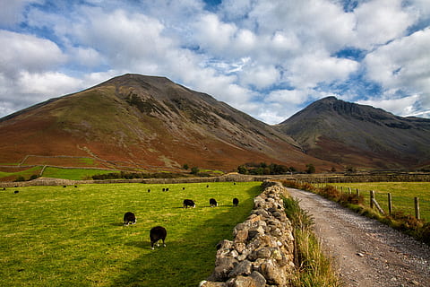 wide, angle landscape shot, captured, hills, lake district, national, park, Wide angle, landscape, shot, Lake District National Park, Cumbria, England, nature, clouds, mountain, scenics, grass, cloud - Sky, outdoors, sky, rural Scene, hill, meadow, summer, no People, pasture, large group of animals, animal themes, mountain range, environment, scenics - nature, beauty in nature, livestock, domestic animals, land, mammal, animal, non-urban scene, group of animals, tranquility, 4K