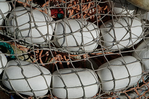 pesce, netto, galleggiante, catturare, pesca, commerciale, industria, all'aperto, affrontare, pescatore, oceano, bianca, nessuno, giorno, industria ittica, gabbia, metallo, fotogramma intero, grande gruppo di oggetti, rete da pesca, filo, natura, abbondanza, gruppo di animali, corda, avvicinamento, sport, pila, attività, 4K, CC0, dominio pubblico, privo di copyright