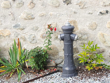 hydrant, Šedá, oheň, zahrada, rostlina, den, nikdo, Příroda, růst, květ, kvetoucí rostlina, nástěnný prvek, venku, krása v přírodě, lidské zastoupení, pevný, požární hydrant, bezpečnostní, zastoupení, přistát, ochrana, umění a řemesla, zelená barva, zeď, 4K, CC0, veřejná doména, bez autorských práv