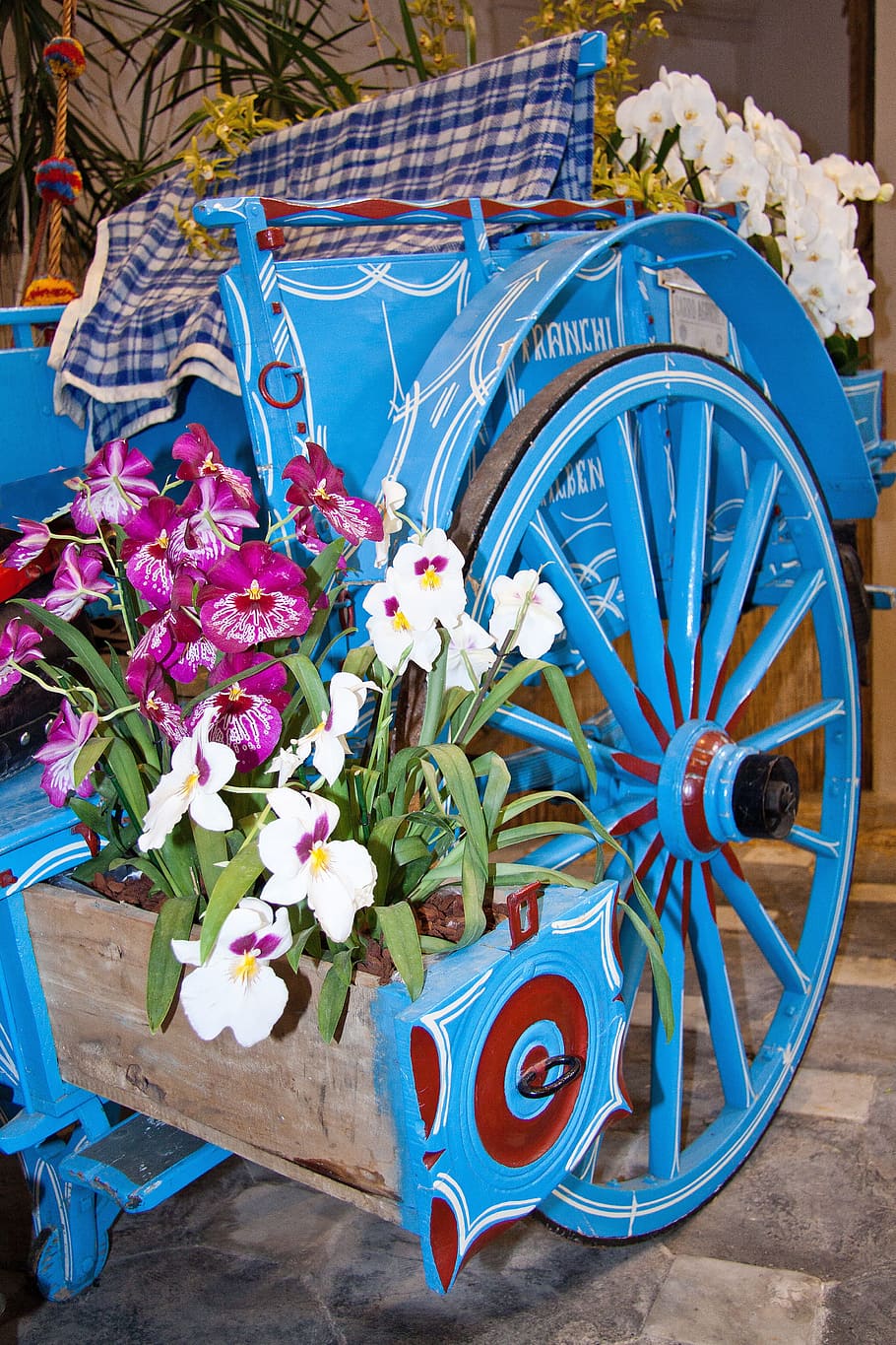 orquídies, dendrobium, flora, flor, florir, blanc, violeta, carro de fusta, roda de rodes, vell, antiguitat, decorat, valuós, noble, blau, a l'aire lliure, decoració, passat de moda, cap gent, dia, rellotge, planta amb flors, planta, naturalesa, multicolor, primer pla, vista d’angle alt, transport, roda, frescor, material de fusta, bellesa a la natura, creativitat, roda de vagó, elecció, bouquet, arranjament floral, 4K