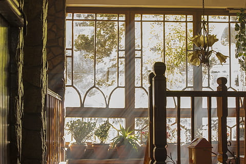 Marrone, di legno, balaustra, luce, filtraggio, finestre di vetro, sfondo, giorno, i raggi del sole, architettura, diffuso, scena, costruzione, interno, finestra, pianta, in casa, albero, vetro - materiale, natura, trasparente, crescita, nessuno, luce del sole, pianta fiorita, pianta in vaso, tenda, tavolo, fiore, struttura costruita, telaio della finestra, 5K, CC0, dominio pubblico, privo di copyright