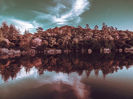 Landschaftsfotografie, Bäume, reflektierend, Schuss, Vorderteile, Karosserie, Wasser, Wald, Reflexion, See, Fluss, Himmel, Wolke, Landschaft, Star, Schönheit, Reservoir, Baum, Natur, Pflanze, keine Leute, Umgebung, Schönheit in der Natur, Ruhe, Szenen - Natur, wolke - himmel, ruhige Szene, Nicht-städtische Szene, Land, Reiseziele, solide, 4K, CC0, gemeinfrei, lizenzfrei