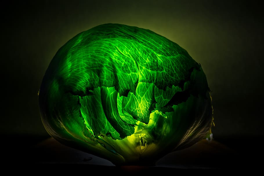verdures verdes, col, disseny, icona, verdures, símbol, neó, verd, art, vitamina, aliments naturals, ingredient, pintura, signe, eco, logotip de menjar, logotip, etiqueta, logotip verd, adhesiu, banner, color verd, tir de l'estudi, a l'interior, primer pla, cap gent, il·luminat, sol objecte, fons negre, esfera, brillant, naturalesa, moviment, fons verd, aigua, fons de colors, fons gris, alimentació saludable, vegetals, bellesa a la natura, 4K