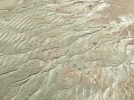 Sand, Branches, Tendrils, Algae, Green, algae, green, brown, branch, nature, beach, landscape, tree, sea, sky, summer, wave, sunny, shore, tranquil, backgrounds, textured, stone material, abstract, pattern, full frame, no people, day, high angle view, natural pattern, outdoors, rough, land, close-up, beauty in nature, non-urban scene, geology, built structure, sunlight, climate, arid climate, 4K, CC0, public domain, royalty free