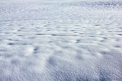 winter, sneeuw, wit, winters, koude, natuur, besneeuwd, poeder sneeuw, winterdag, koude temperatuur, ijs-, bevroren, achtergronden, vorst, buitenshuis, seizoen, patroon, getextureerde, witte kleur, hoge hoekmening, geen mensen, volledig kader, land-, dag, veld-, schoonheid in de natuur, milieu, puurheid, landschap, 5K, CC0, publiek domein, royaltyvrij